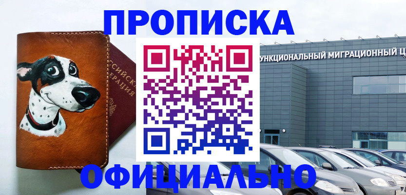 временная прописка в Бородино